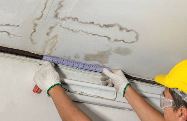 Reliable Mold Remediation contractor in Eagle, CO by Water Damage Irwin